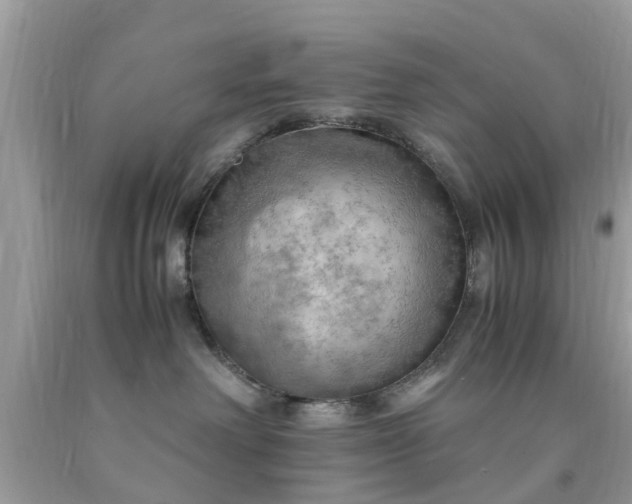 X0000090430238200707272138