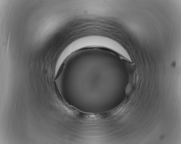 X0000090430239200707272138