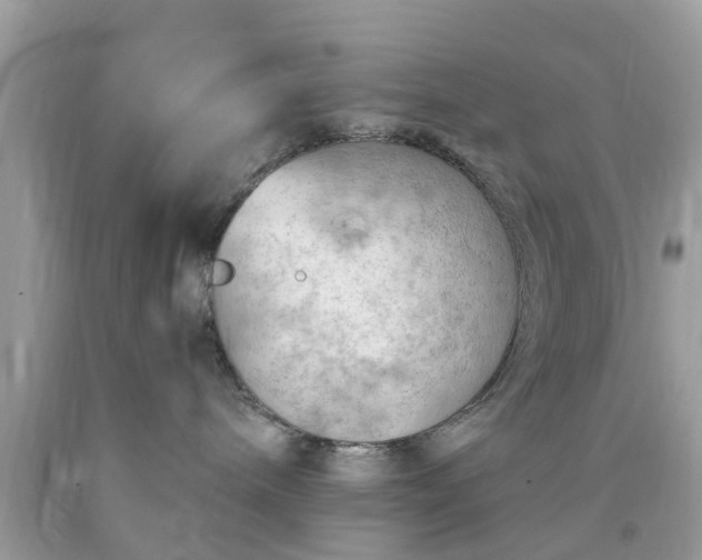 X0000090430240200707272138