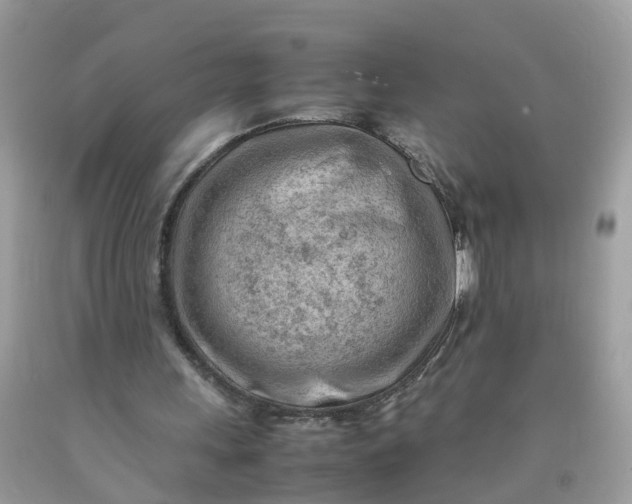 X0000090430243200707272137