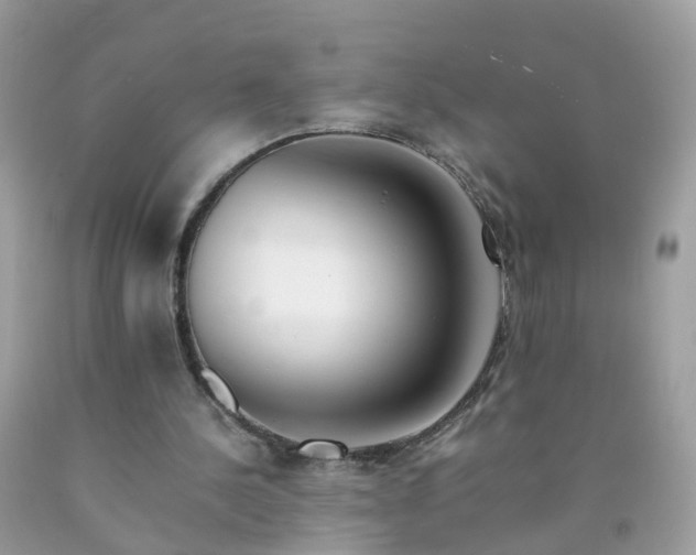 X0000090430244200707272137