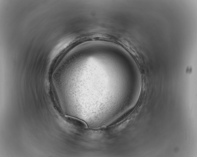 X0000090430245200707272137