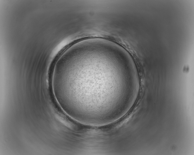 X0000090430246200707272138