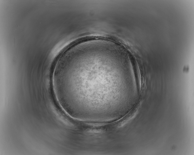 X0000090430247200707272138