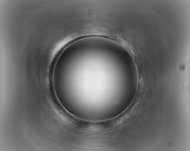 X0000090430248200707272138