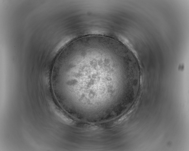 X0000090430249200707272138