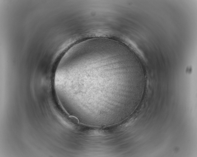 X0000090430250200707272138