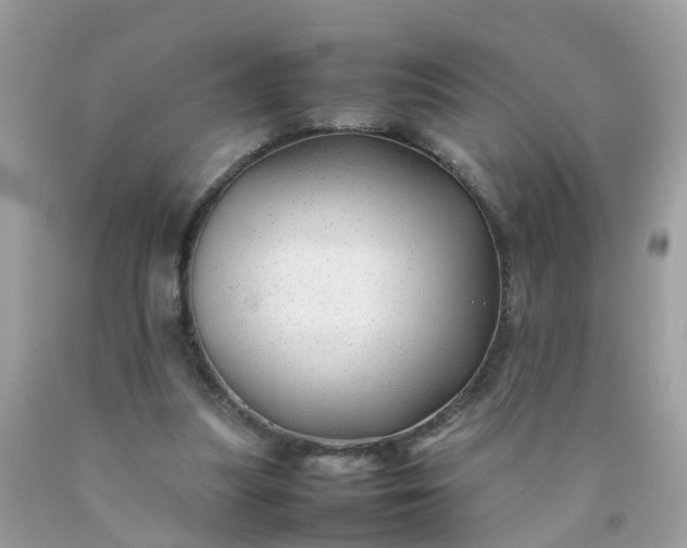 X0000090430251200707272138