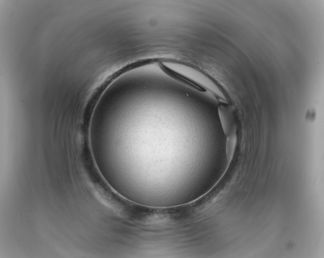 X0000090430252200707272138