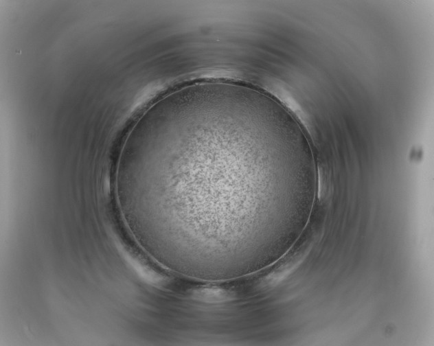 X0000090430253200707272138