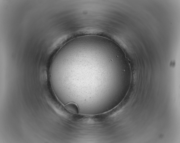 X0000090430254200707272138