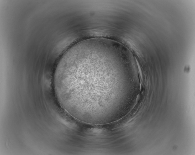 X0000090430255200707272138