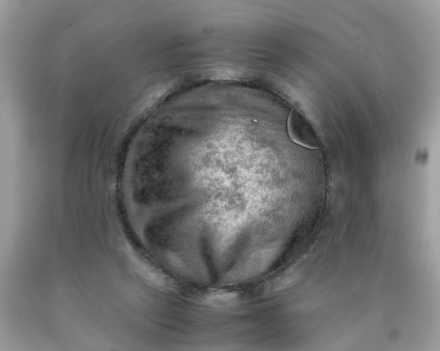 X0000090430257200707272138