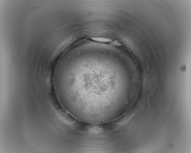 X0000090430258200707272138