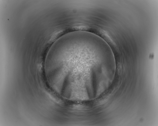 X0000090430259200707272138