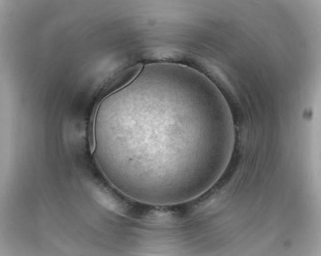 X0000090430260200707272138