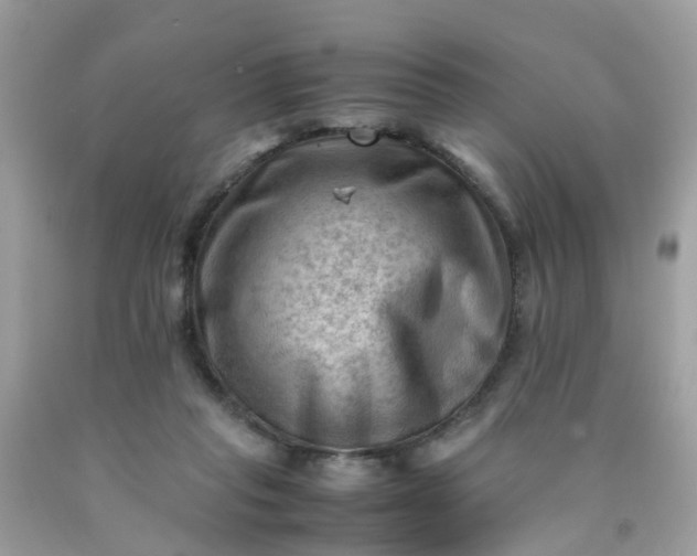 X0000090430261200707272138