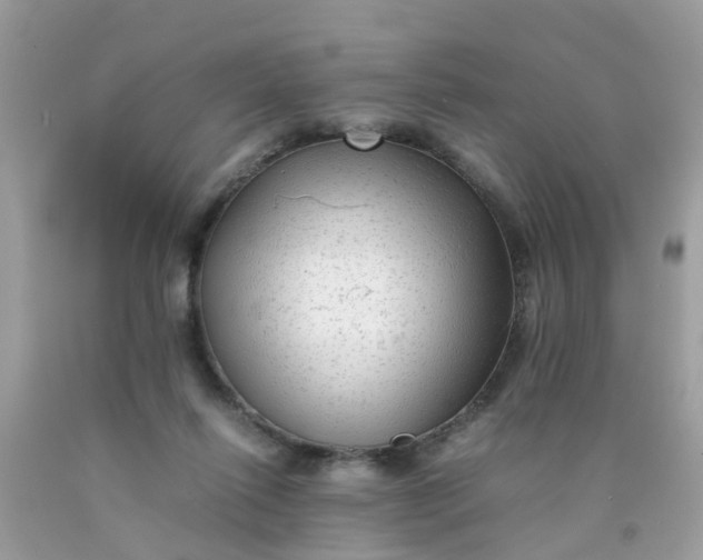 X0000090430262200707272138