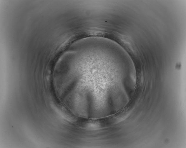 X0000090430263200707272138