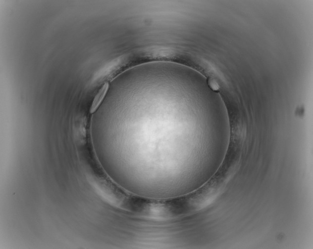 X0000090430264200707272138