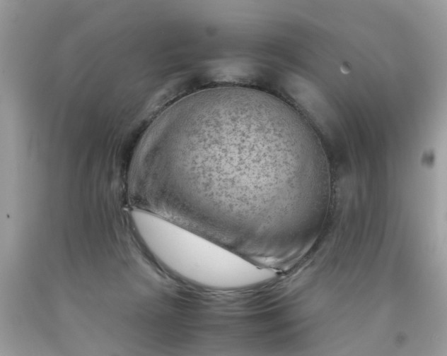 X0000090430265200707272138