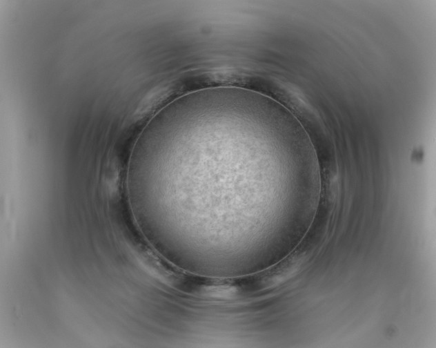 X0000090430266200707272138