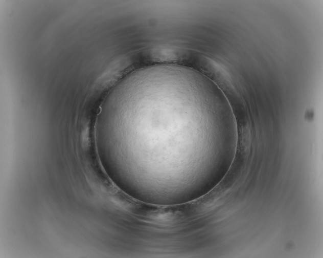 X0000090430267200707272138