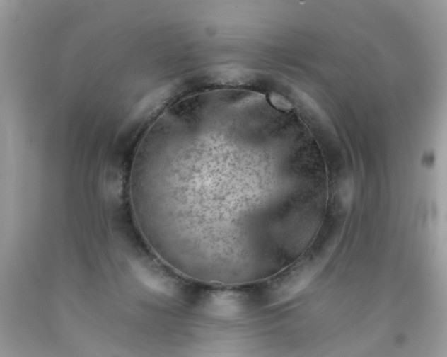 X0000090430268200707272138