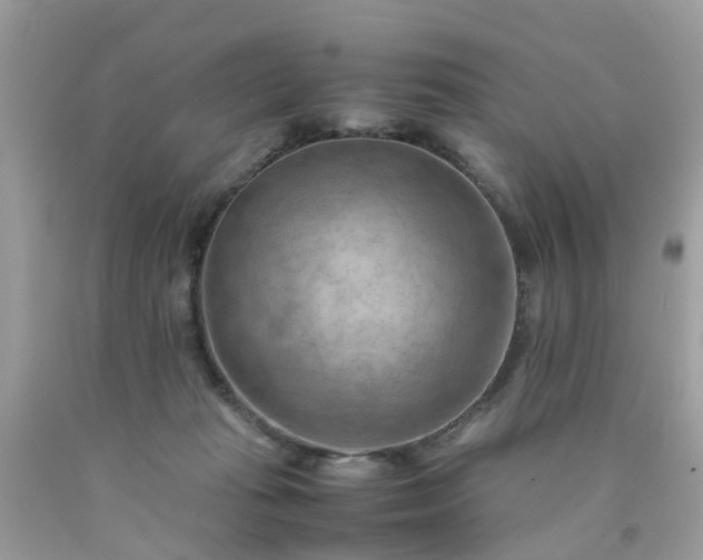 X0000090430269200707272138