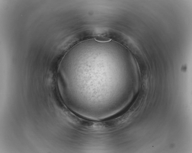 X0000090430270200707272138