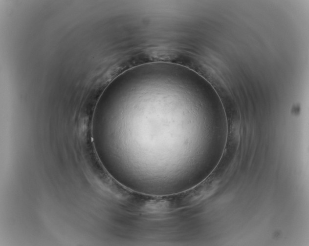 X0000090430271200707272138