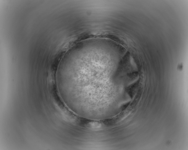 X0000090430272200707272138