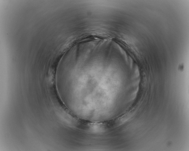 X0000090430273200707272138