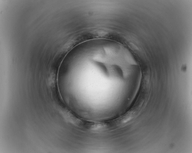 X0000090430274200707272138