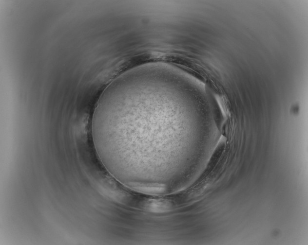 X0000090430275200707272138