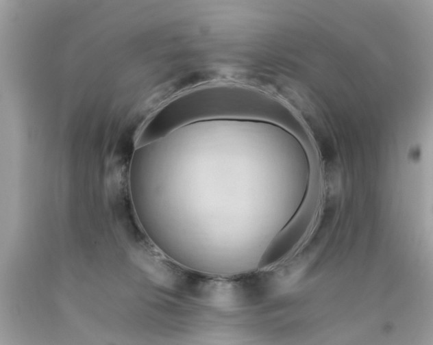 X0000090430276200707272138