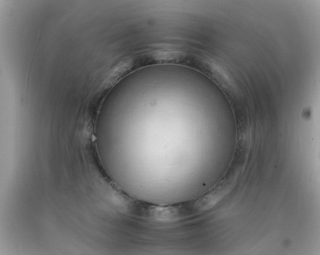 X0000090430277200707272138