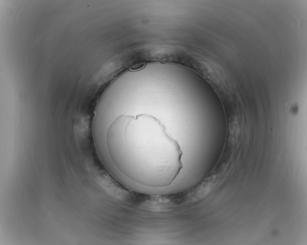 X0000090430278200707272138