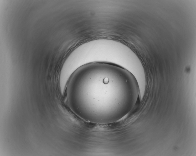 X0000090430280200707272138