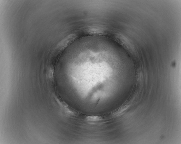 X0000090430281200707272138