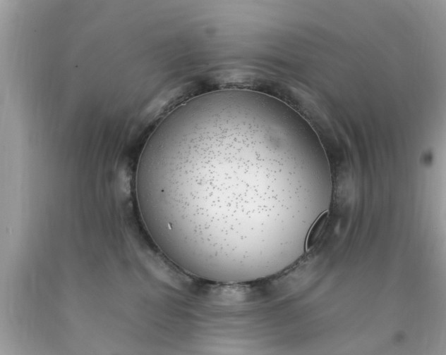 X0000090430282200707272138