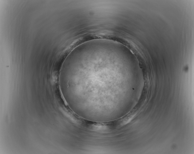 X0000090430284200707272138