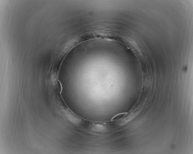 X0000090430285200707272138