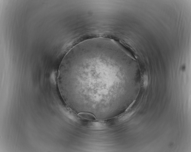 X0000090430286200707272138