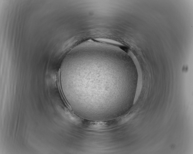 X0000090430288200707272138