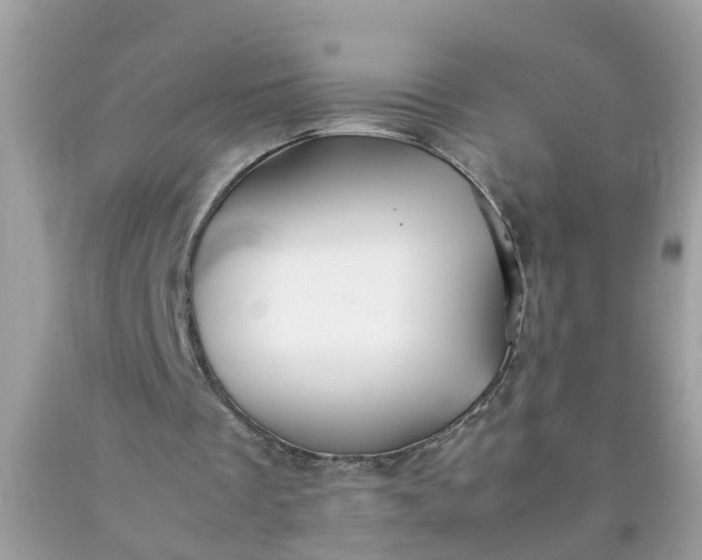 X0000090430289200707272137