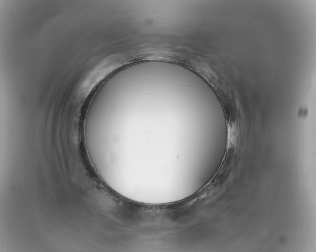 X0000090430291200707272137