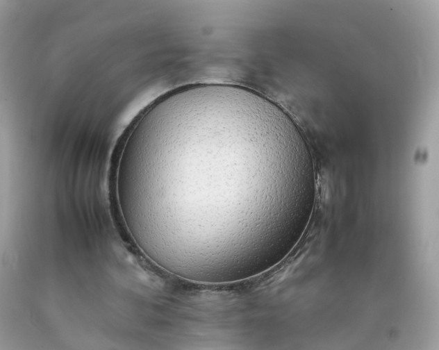 X0000090430292200707272137