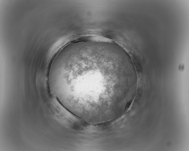 X0000090430293200707272137