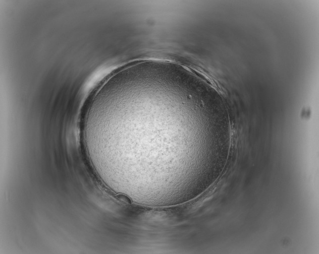 X0000090430294200707272137